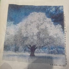 Процесс «Дерево зимой»