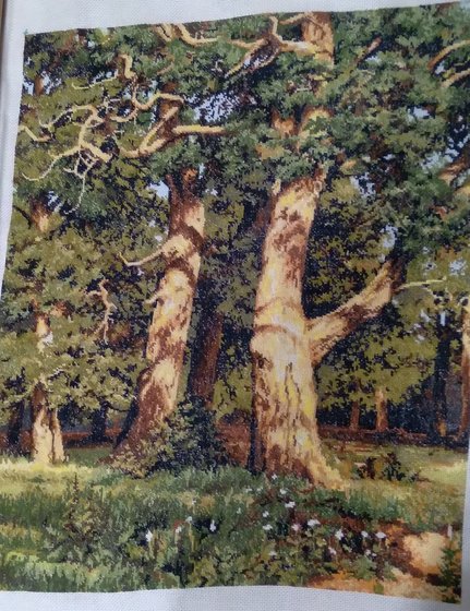 Этап процесса «Дубовая роща.»