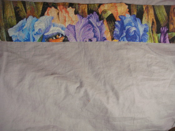 Этап процесса «Кот в ирисах ХАЕД»