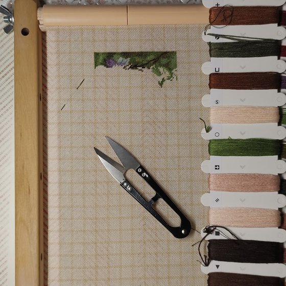 Этап процесса «Девушка с розами»