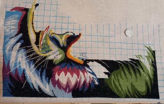 Этап процесса «Радужный тигр»