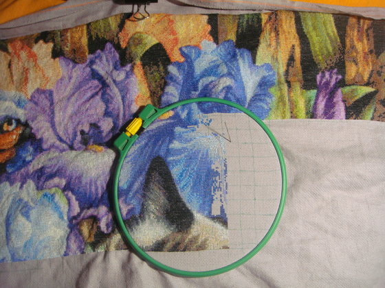 Этап процесса «Кот в ирисах ХАЕД»