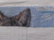 Процесс «Пара»