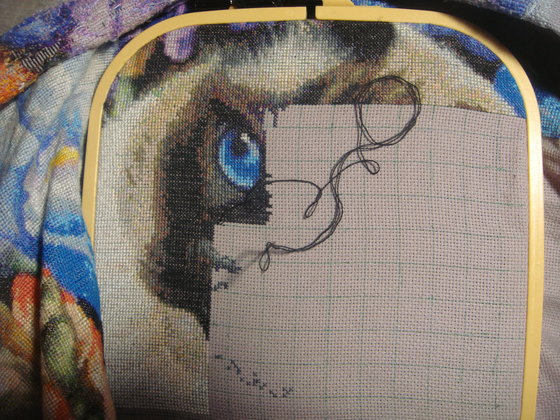 Этап процесса «Кот в ирисах ХАЕД»