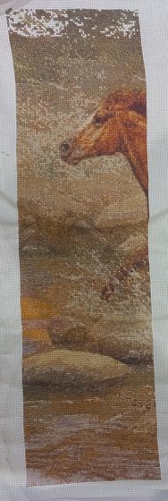 Этап процесса «Кони»