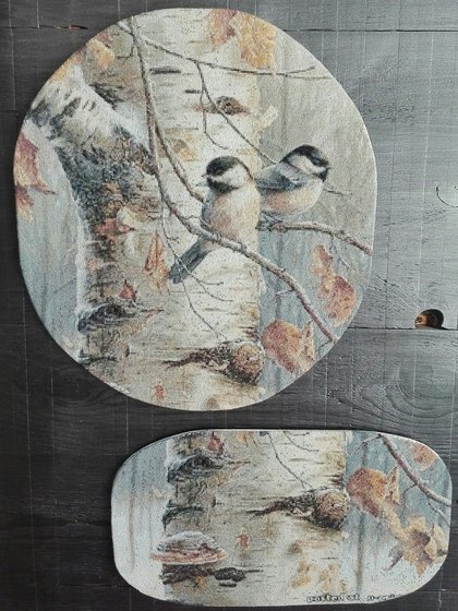 Этап процесса «СИНИЧКИ»