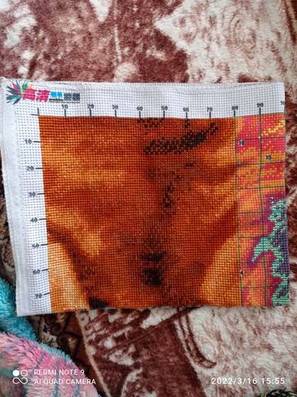 Этап процесса «Царь зверей»