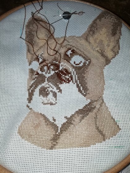 Этап процесса «Французкий бульдог»