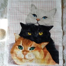 Процесс «Три кота»