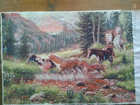 Этап процесса «Лошади, горы»