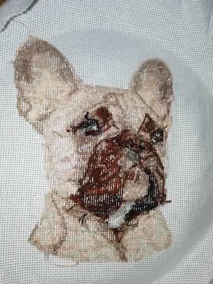 Этап процесса «Французкий бульдог»