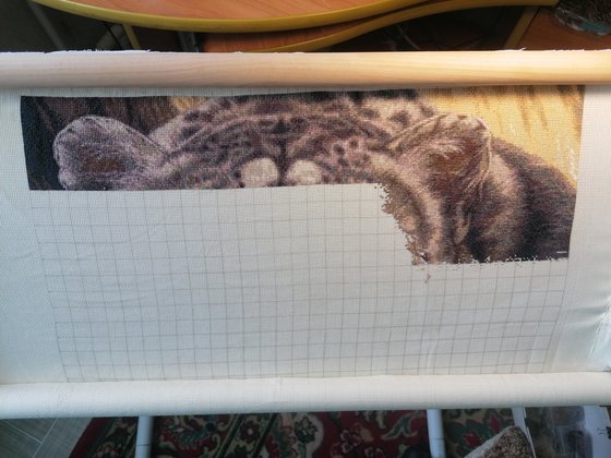 Этап процесса «Снежный леопард, автор martino3»