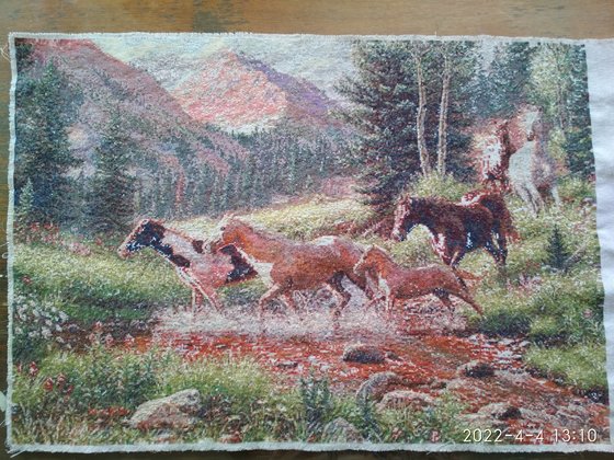 Этап процесса «Лошади, горы»