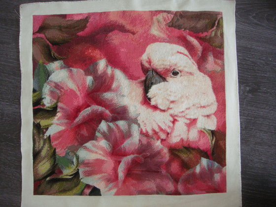 Этап процесса «Розовый какаду»