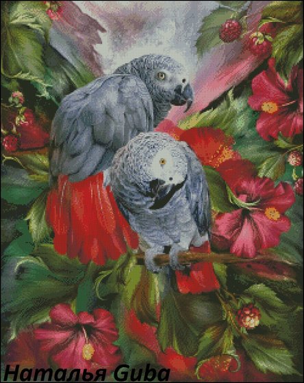 Этап процесса «Краснохвостые жако»