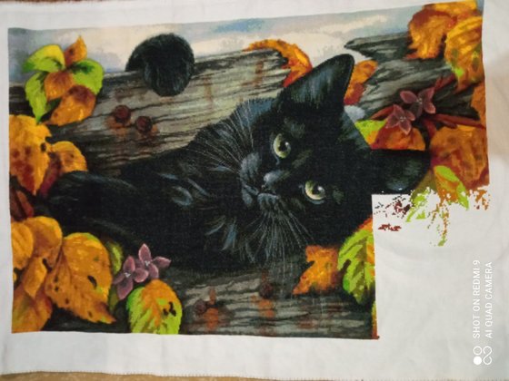 Этап процесса «HAED Дырка в заборе»