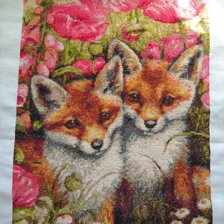 Процесс «Лисята в маках»