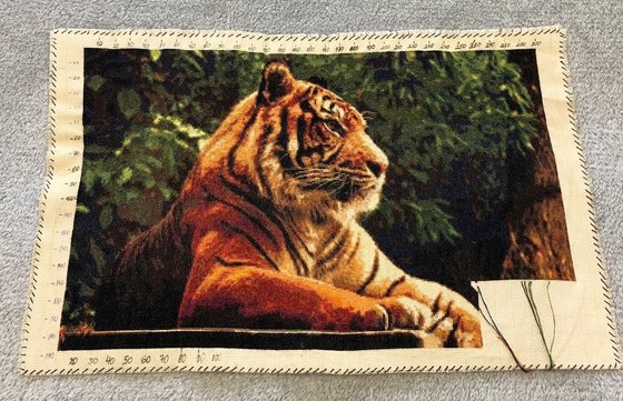 Этап процесса «Amur tiger»