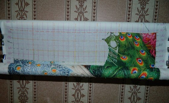 Этап процесса «Павлины»