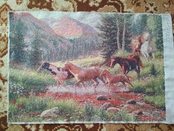 Этап процесса «Лошади, горы»