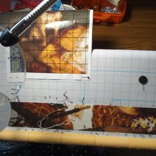 Процесс «Дама в лодке»