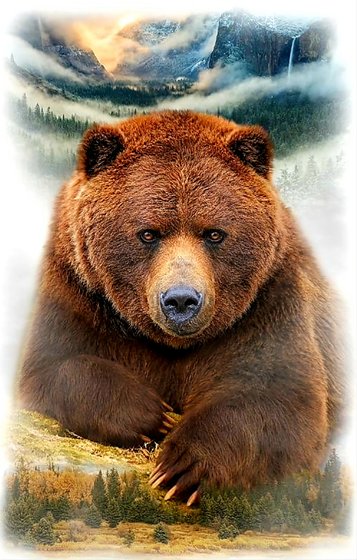 Этап процесса «☀️ЧЕРТОГ МЕДВЕДЯ☀️»