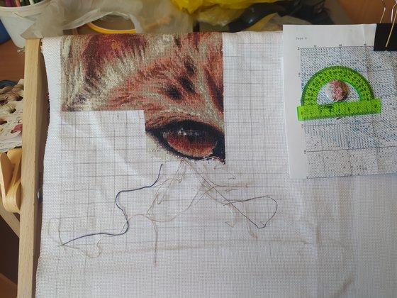 Этап процесса «"Рысь" подушка»