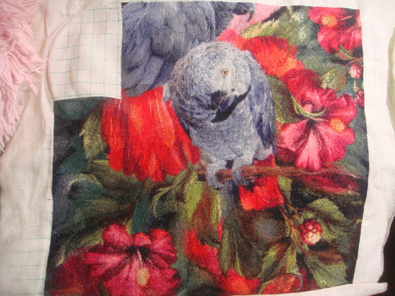 Этап процесса «Краснохвостые жако»