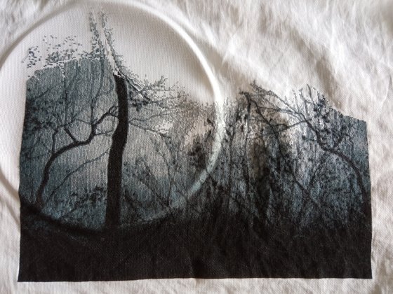 Этап процесса «Лицо девушки в ветвях»