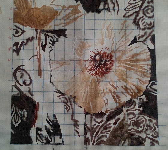 Этап процесса «Белые цветы. Открытый свету.»