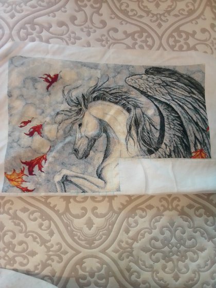 Этап процесса «Пегас»