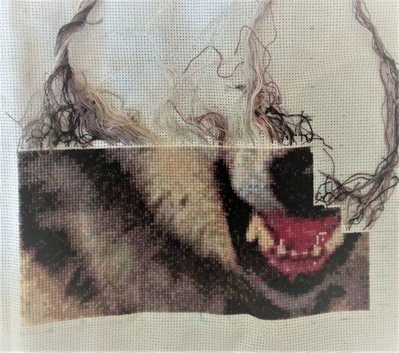 Этап процесса «Волк»