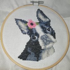 Процесс «Французкий бульдог от Dimenson»