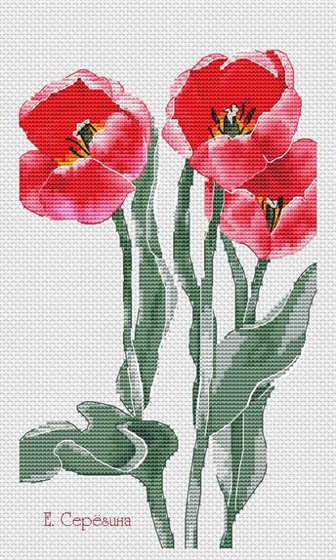 Этап процесса «tulipanes»