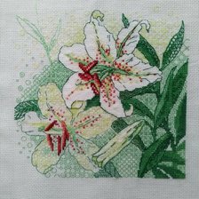 Процесс «Белые лилии.»