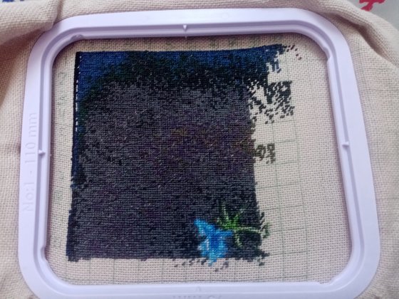 Этап процесса «Анютины глазки»