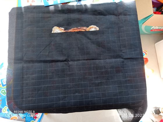 Этап процесса «Тигр»