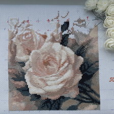 Процесс «Панна. Розы»