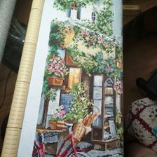 Процесс «цветущий Париж.лука-с.»