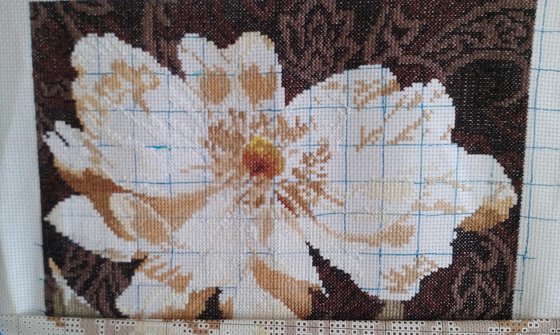 Этап процесса «Белые цветы. В объятьях света.»