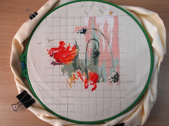 Этап процесса «Маки в утренних  лучах.»