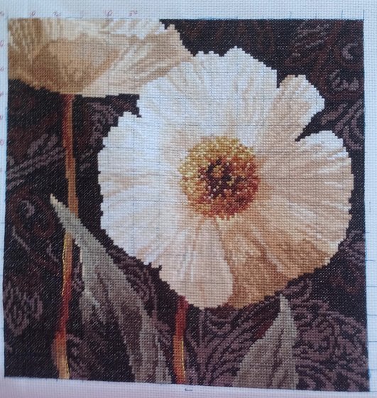 Этап процесса «Белые цветы. Открытый свету.»