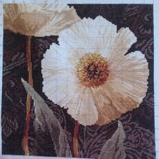 Процесс «Белые цветы. Открытый свету.»