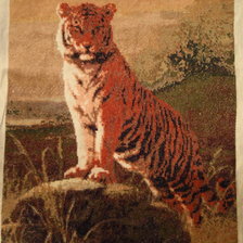 Процесс «Тигр на камне»