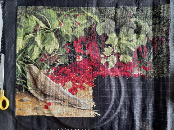 Этап процесса «Красная смородина»