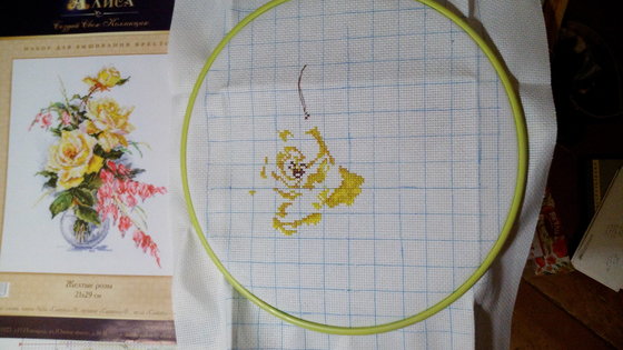 Этап процесса «Желтые розы»