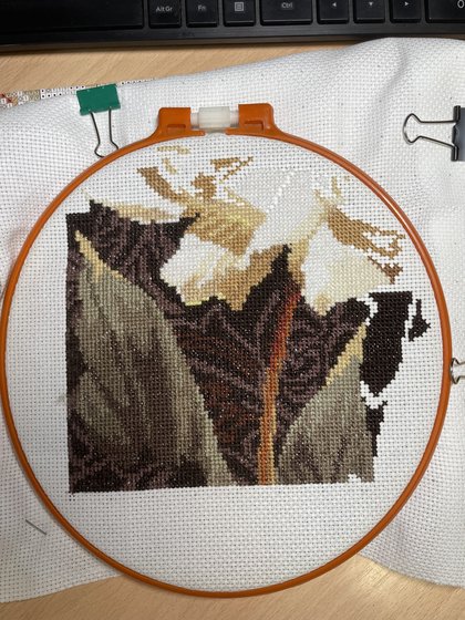 Этап процесса «В объятьях света»