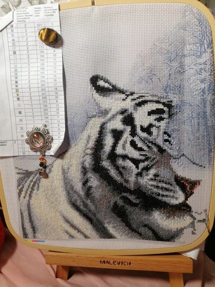 Этап процесса «Бенгальские тигры»