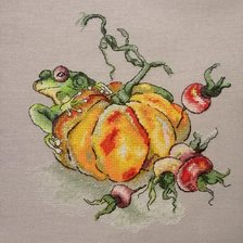 Процесс «Лягушка на тыкве»