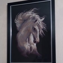 Процесс «Андалузский характер. Риолис.»